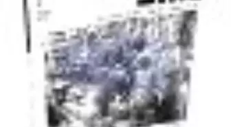 Şiirden İki Aylık Şiir Dergisi Sayı: 20 Kitabı