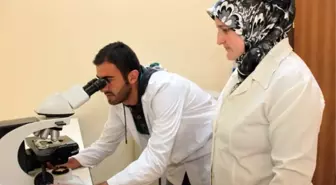 Karaman'da Elma Bahçelerindeki Solucanlar Araştırıldı
