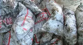 Mazıdağı'da Kömür Yardımı Yapılıyor