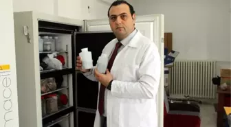 Baltalık Ormanlardan Çok Yönlü Faydalanılacak