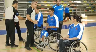 Büyükşehir 'Martı' Avlayacak