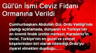 Gül'ün İsmi Ceviz Fidanı Ormanına Verildi