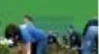 Organik Ötesi Tarım Kitabı