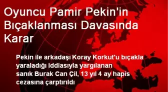 Oyuncu Pamir Pekin'in Bıçaklanması Davasında Karar