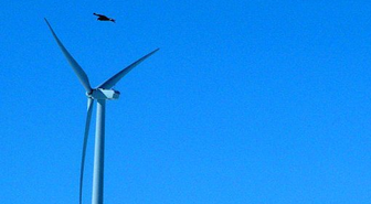 Rüzgar Enerjisi Şirketine Kartal Cezası