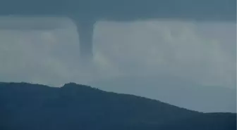 Bodrum'da Hortum, Ağaçları Yerinden Söktü