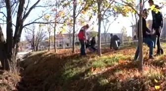 Lifli atıkları enerjiye dönüştürüyorlar