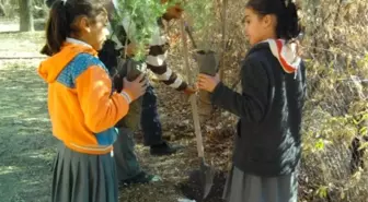 Öğrenciler Ağaç Dikti