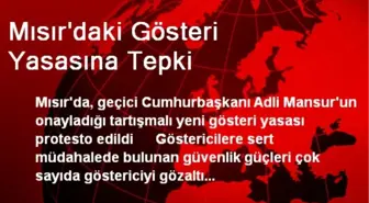 Mısır'daki Gösteri Yasasına Tepki