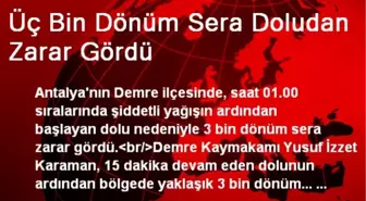 Üç Bin Dönüm Sera Doludan Zarar Gördü