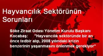 Hayvancılık Sektörünün Sorunları