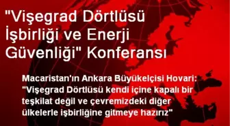 V4 İşbirliği ve Enerji Güvenliği Konferansı Düzenlendi