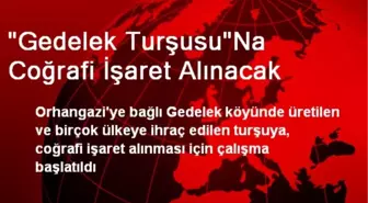 'Gedelek Turşusu'Na Coğrafi İşaret Alınacak