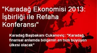 'Karadağ Ekonomisi 2013: İşbirliği ile Refaha Konferansı'