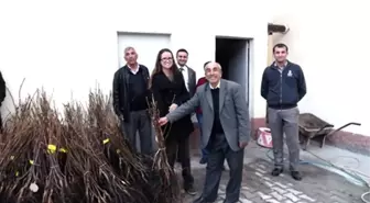 Şaphane'de Çiftçilere Tohum ve Fidan Dağıtımı Yapıldı