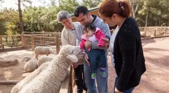 Hayvanat Bahçesi Pazar Günü Kapalı Olacak