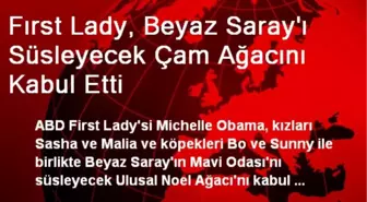 Fırst Lady, Beyaz Sarayı Süsleyecek Çam Ağacını Kabul Etti