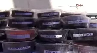 Şanlıurfa'da 'En Acı İsot' Yarışması