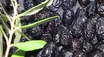 Türkiye'de Raf Ömrü Uzun Tuzsuz Zeytin Üretimi Başladı