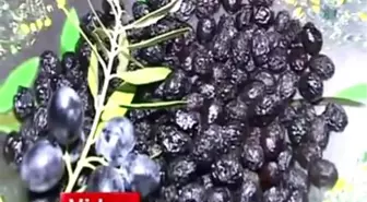 Türkiye'de Raf Ömrü Uzun Tuzsuz Zeytin Üretimi Başladı