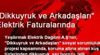 'Dikkuyruk ve Arkadaşları' Elektrik Faturalarında