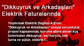 'Dikkuyruk ve Arkadaşları' Elektrik Faturalarında