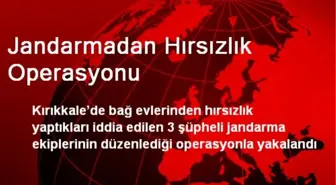 Jandarmadan Hırsızlık Operasyonu