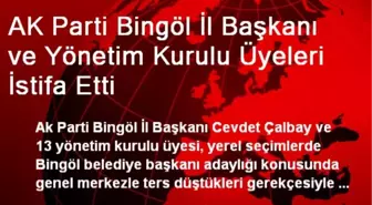 AK Parti Bingöl İl Başkanı ve Yönetim Kurulu Üyeleri İstifa Etti