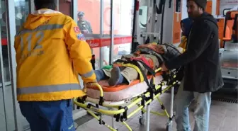 Şans Eseri Kumun Üstüne Düştü