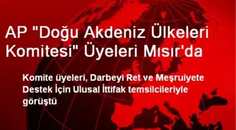 AP 'Doğu Akdeniz Ülkeleri Komitesi' Üyeleri Mısır'da