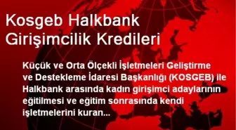 Kosgeb Halkbank Girişimcilik Kredileri