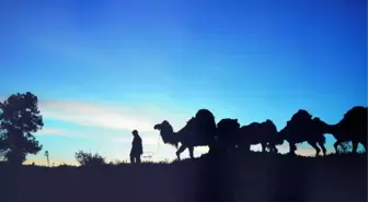 Yörüklerin Hayatı Expo'da