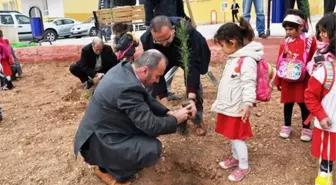 Akçakale'deki Okullar Yeşillendiriliyor