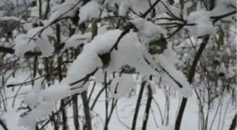 Isparta'ya Kar Yağdı