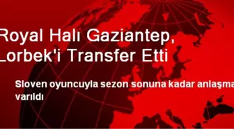 Royal Halı Gaziantep, Lorbek'i Transfer Etti