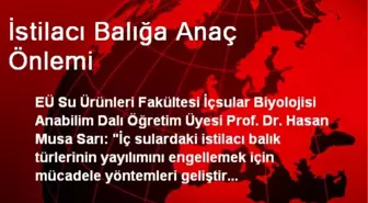 İstilacı Balığa Anaç Önlemi