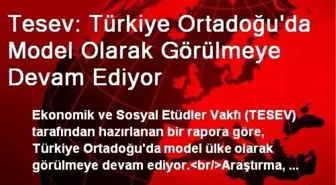 Tesev: Türkiye Ortadoğu'da Model Olarak Görülmeye Devam Ediyor