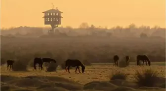 Samsun Ulusal Fotoğraf Yarışması Sonuçlandı