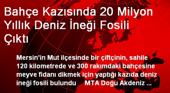 Bahçe Kazısında 20 Milyon Yıllık Deniz İneği Fosili Çıktı