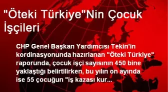 'Öteki Türkiye'Nin Çocuk İşçileri