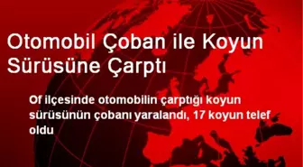 Of'ta Otomobil Koyun Sürüsüne Çarpınca 17 Koyun Telef Oldu