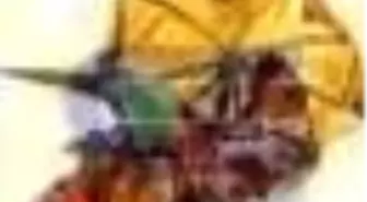 Robinson Crusoe Kitabı Raflarda