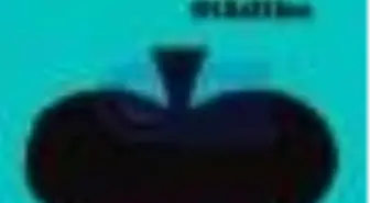 Şipşak Dostoyevski Kitabı