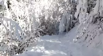 Ayder Yaylası kışın da gözde