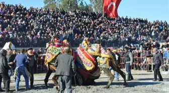 Develer Spor Yararına Güreşti