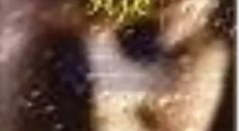 Pencereden Gökyüzüne Sarkarken Aşk Kitabı