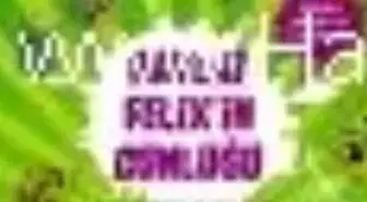 Haylaz Felix'in Günlüğü 2 - Tembelliğin Gücü Kitabı