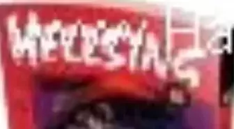 Hellsing 6. Cilt Kitabı