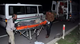 Manavgat'ta Aracın Çarpıp Kaçtığı Yaya Öldü