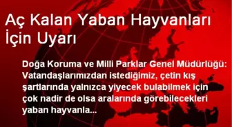 Aç Kalan Yaban Hayvanları İçin Uyarı